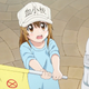 Cells at Work